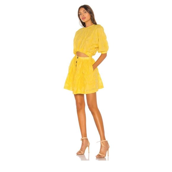 L'Academie Dresses & Skirts - NWT L’ACADEMIE The Iva Cut Out Mini Dress, XXS